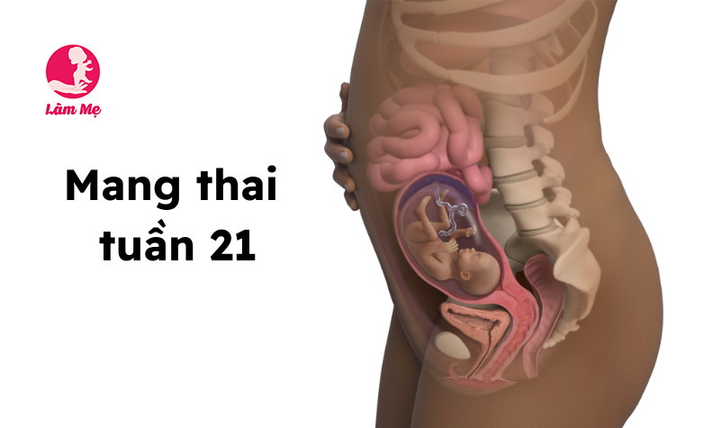 Mang thai tuần 21: Sự thay đổi của mẹ và sự phát triển của bé